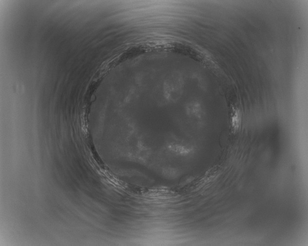 X0000065990819200603061255