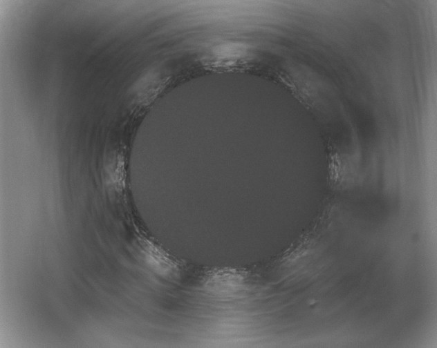 X0000065990820200603061255