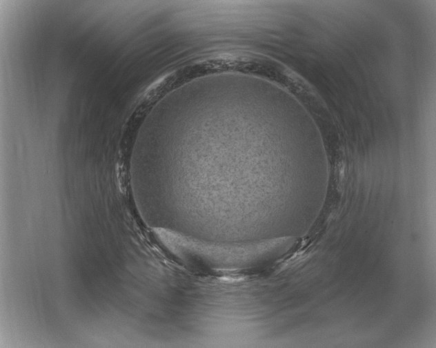 X0000065990822200603061255