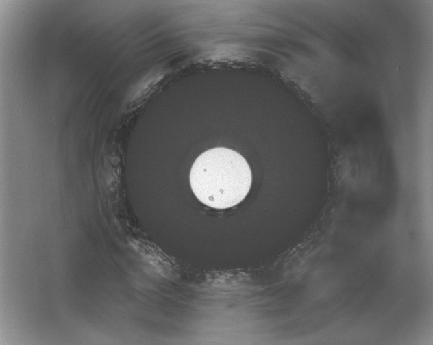 X0000065990824200603061255