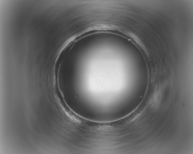 X0000065990837200603061255