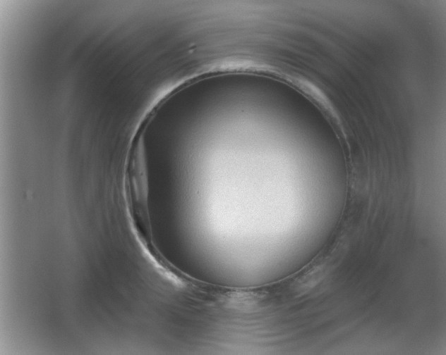 X0000065990847200603061255
