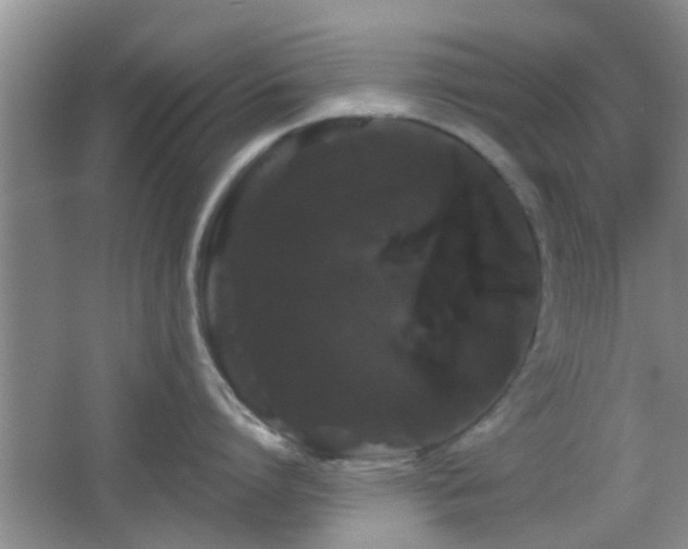 X0000065990864200603061256