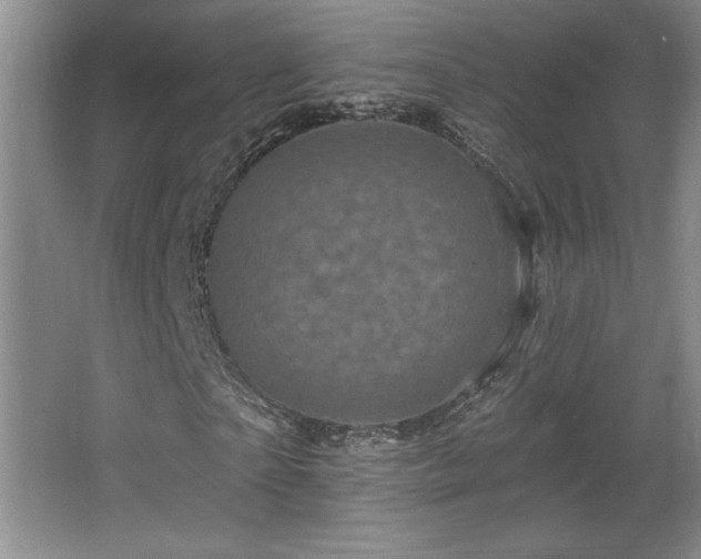 X0000065990865200603061255