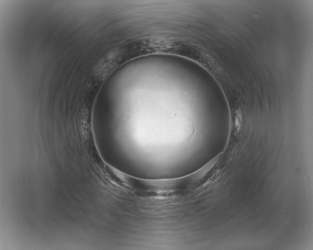 X0000065990867200603061255