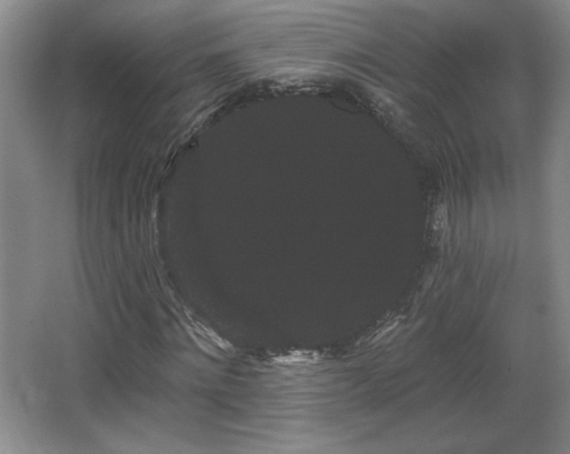 X0000065990868200603061255