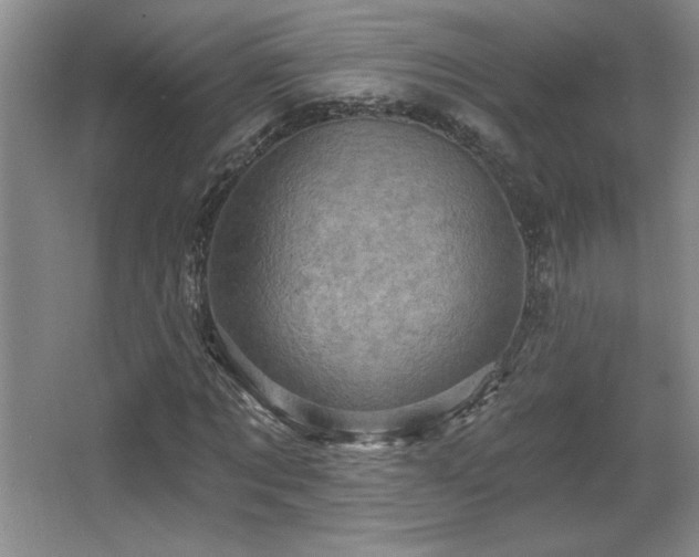 X0000065990869200603061255