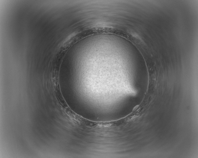 X0000065990870200603061255