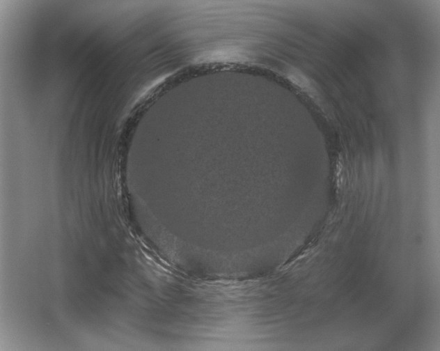 X0000065990872200603061255