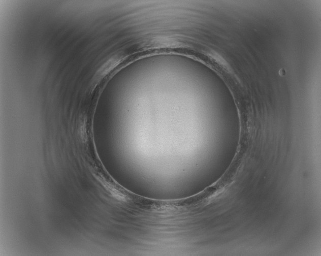 X0000065990873200603061255
