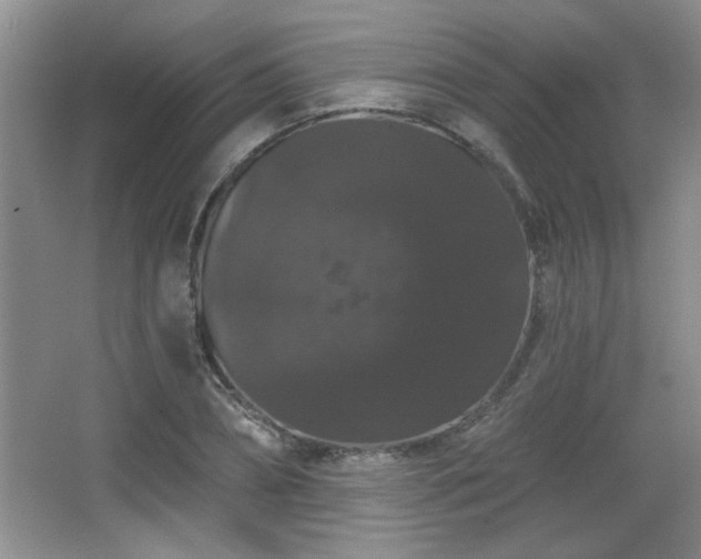 X0000065990882200603061254