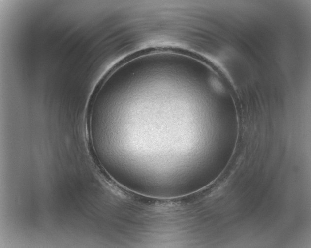X0000065990887200603061254