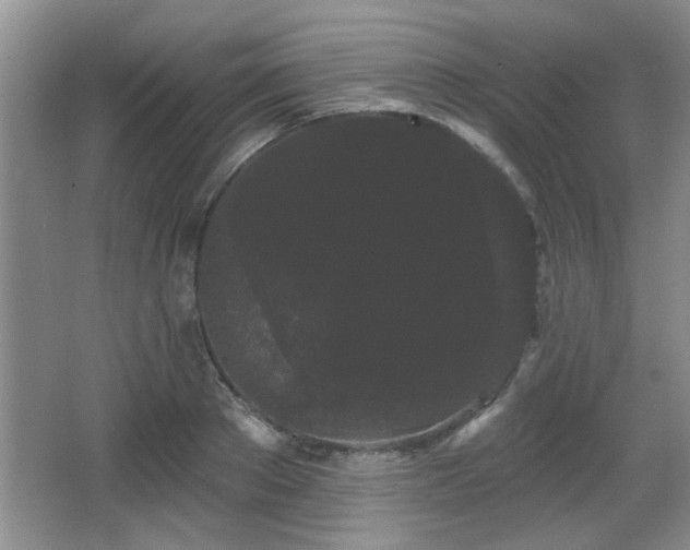 X0000065990889200603061254