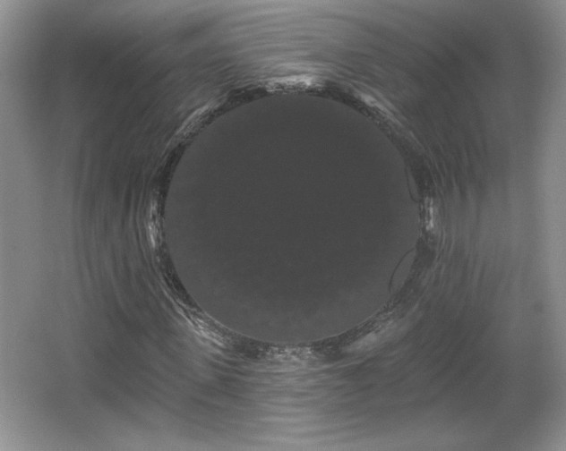 X0000065990915200603061253