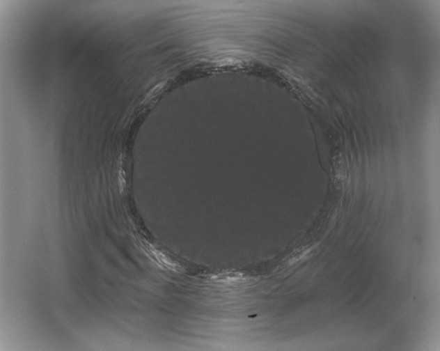 X0000065990916200603061253