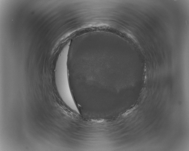 X0000065990920200603061253