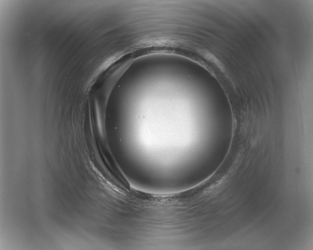 X0000065990922200603061253