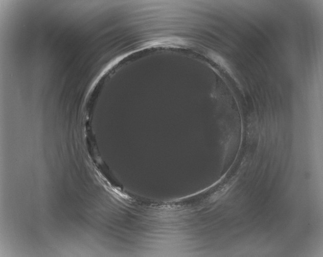 X0000065990923200603061253
