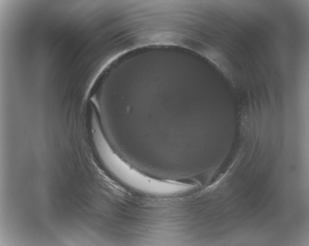 X0000065990926200603061253