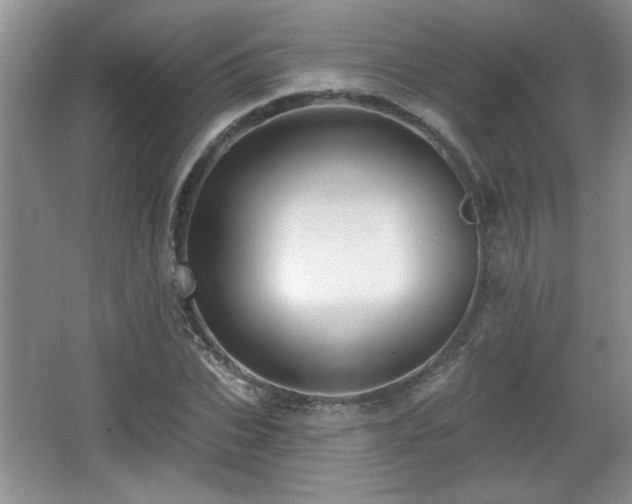 X0000065990927200603061253