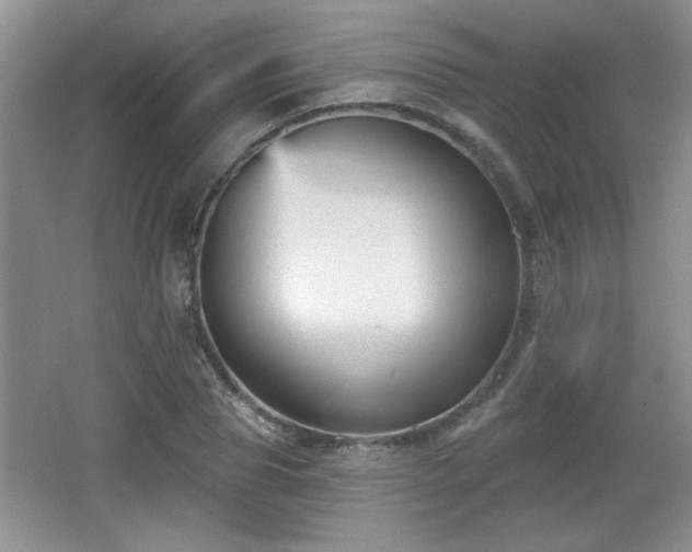X0000065990929200603061253