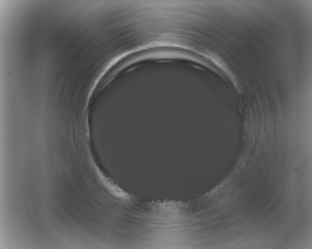 X0000065990934200603061254