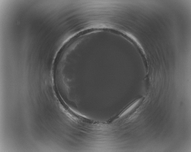X0000065990935200603061254