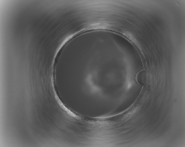 X0000065990941200603061254