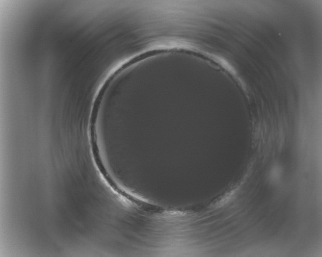 X0000065990943200603061254