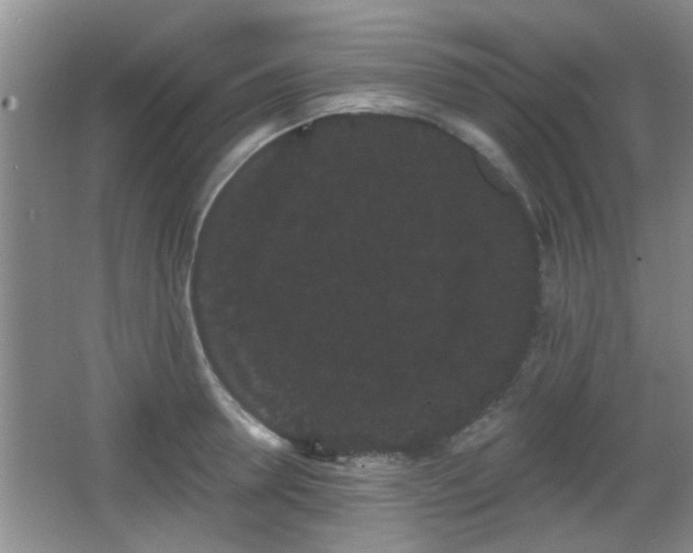 X0000065990946200603061254