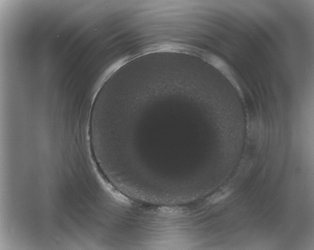 X0000065990954200603061254