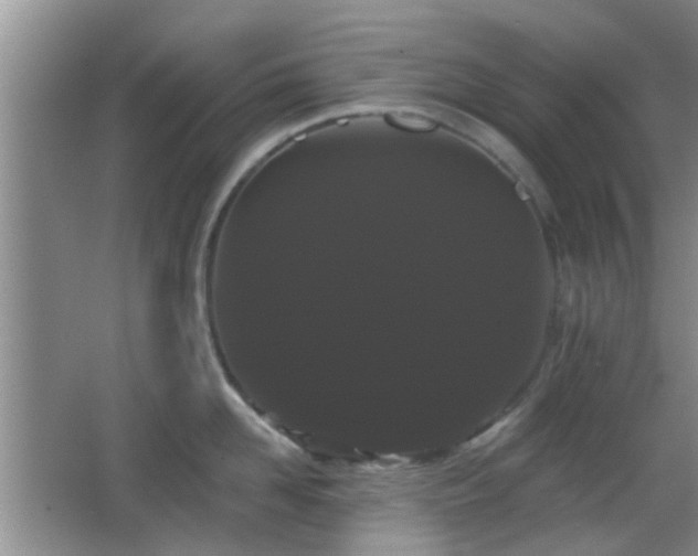 X0000065990958200603061254