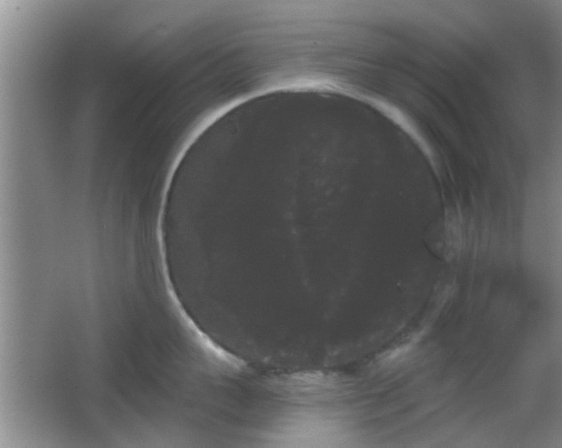 X0000065990959200603061254