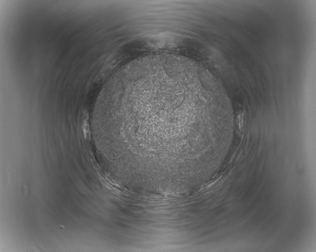 X0000065990963200603061253