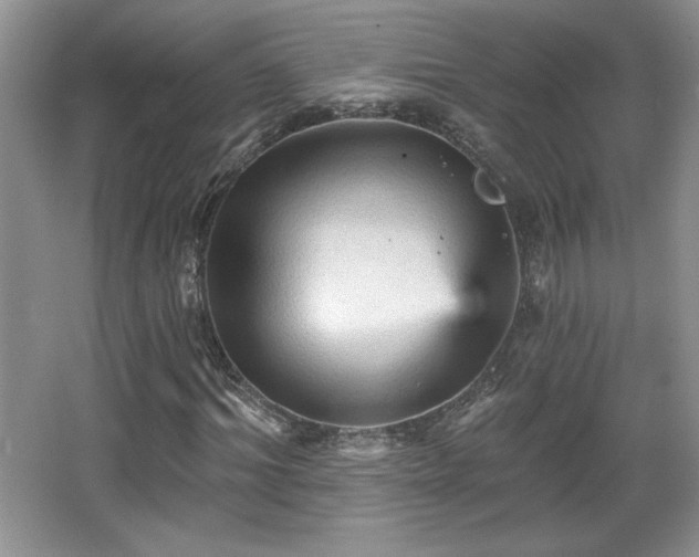 X0000065990964200603061253