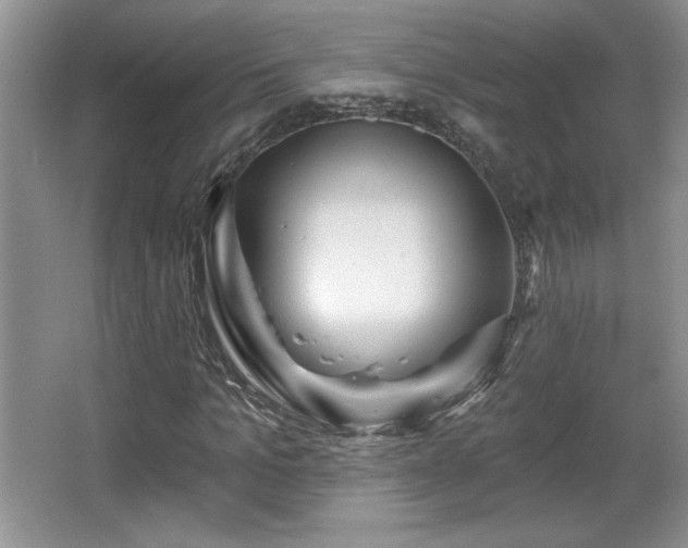 X0000065990965200603061253