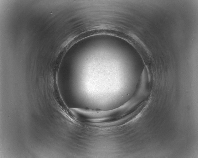 X0000065990969200603061253