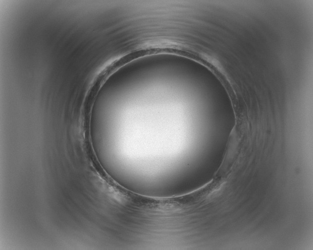 X0000065990979200603061253