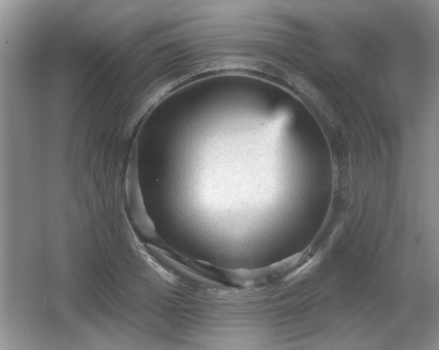X0000065990985200603061253