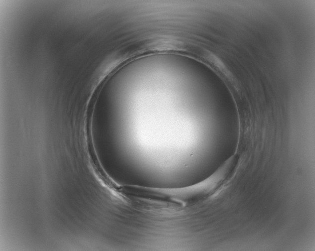 X0000065990986200603061253