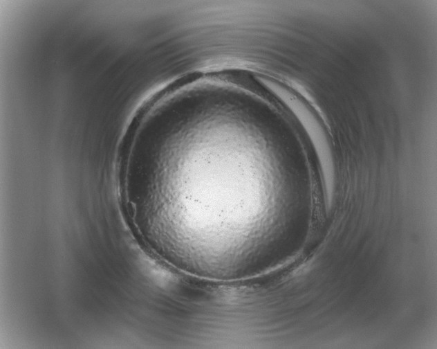 X0000065990987200603061253
