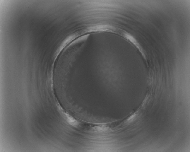 X0000065990994200603061253
