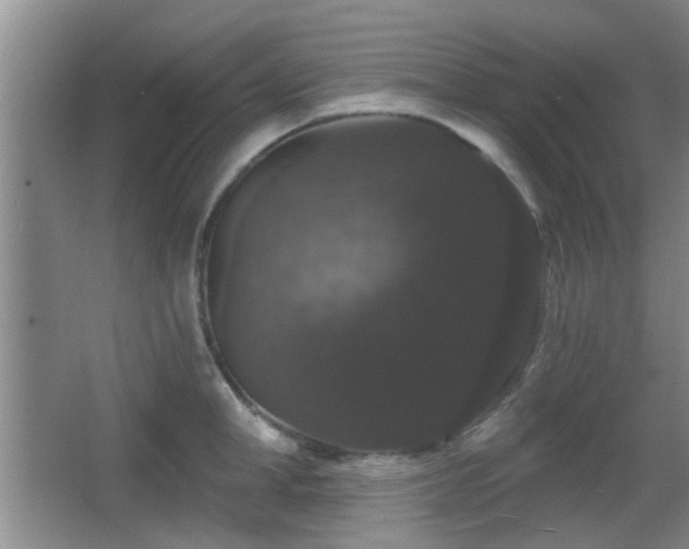 X0000065990998200603061253