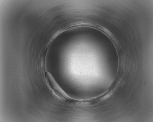 X0000065991001200603061252