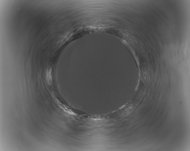 X0000065991010200603061252