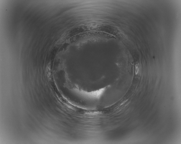 X0000065991011200603061252