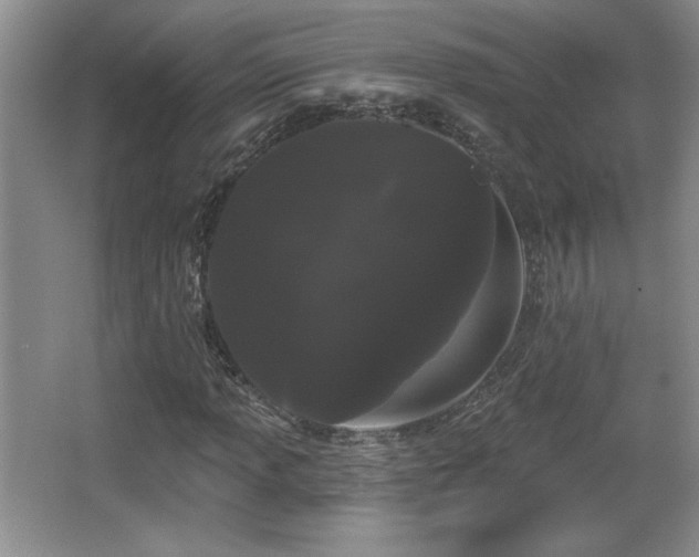 X0000065991013200603061252