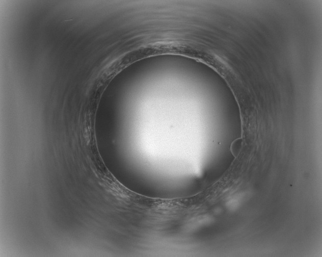 X0000065991015200603061252