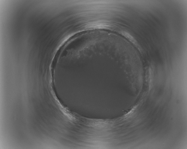 X0000065991031200603061252