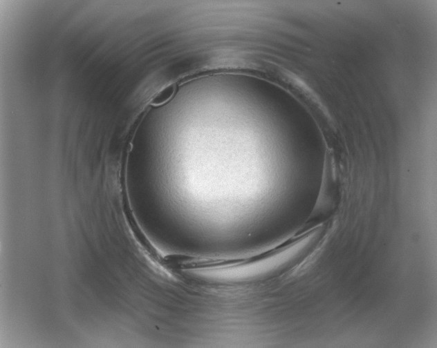 X0000065991033200603061252